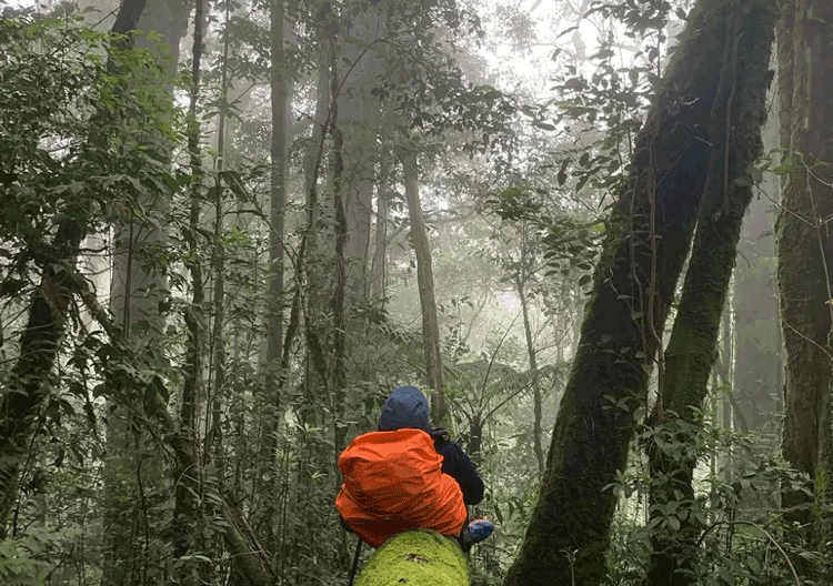 Gunung Masurai